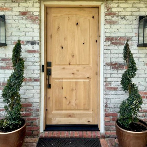 Rustic Knotty Alder 2 Panel Arch Top Exterior Door