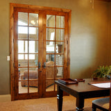 French Knotty Alder Wood 10 Lite Glass Interior Double Door