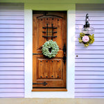 Mediterranean Arch Top Knotty Alder Wood Front Door