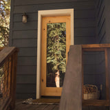 Modern Knotty Alder Wood Full Glass Window Front Door