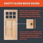 Knotty Alder 9-Lite Clear Glass Exterior Door with Dog Door