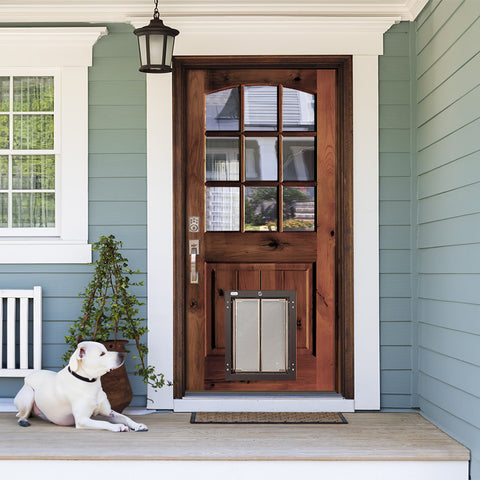 Arch Top Glass Window Knotty Alder Wood Dog Door